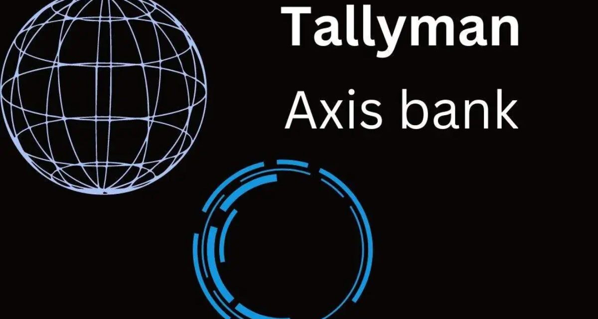 Tallyman Axis: Revolutionizing Financial Management in India