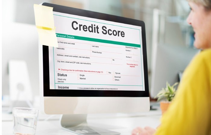 Assessing Your Credit Score and History
